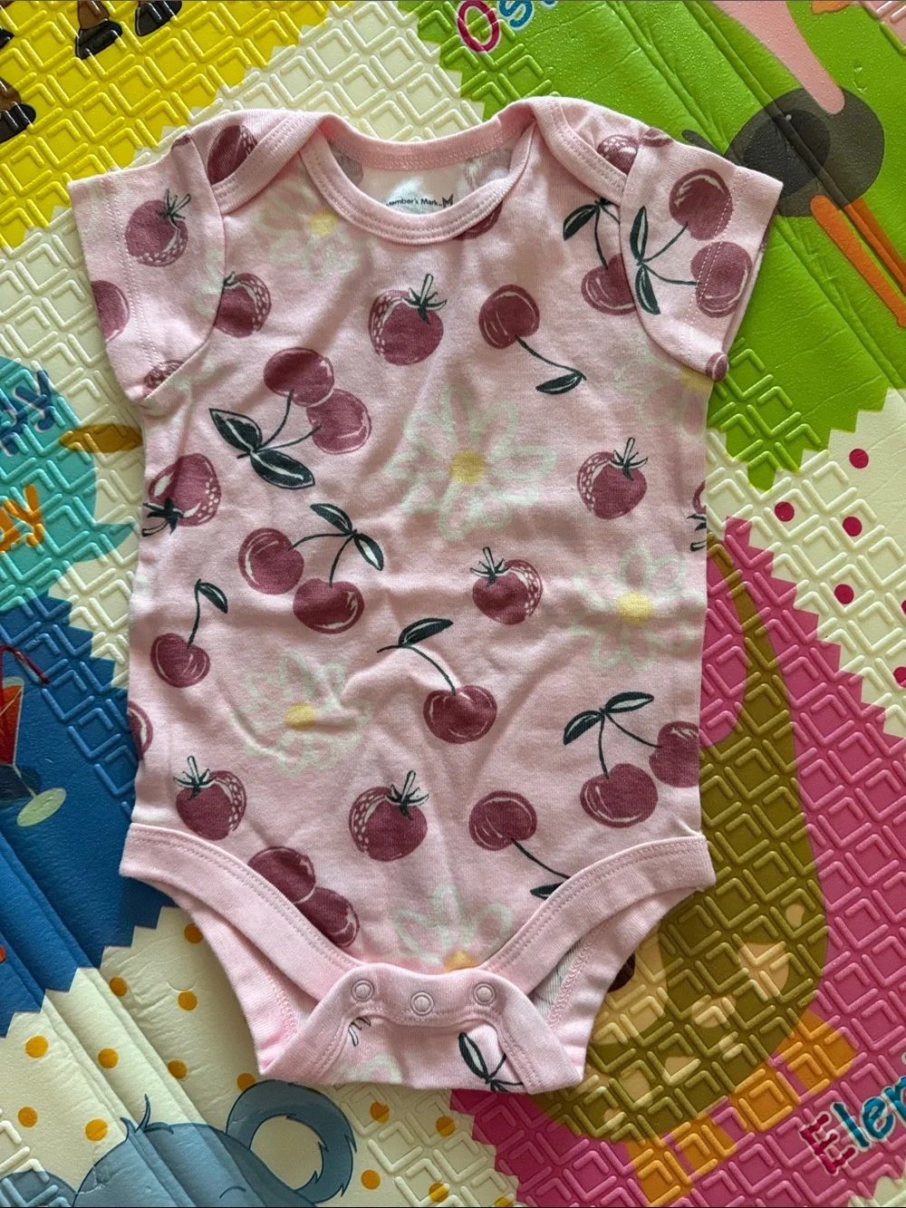 6 Organic Cotton Baby Girl One-Piece Bodysuits